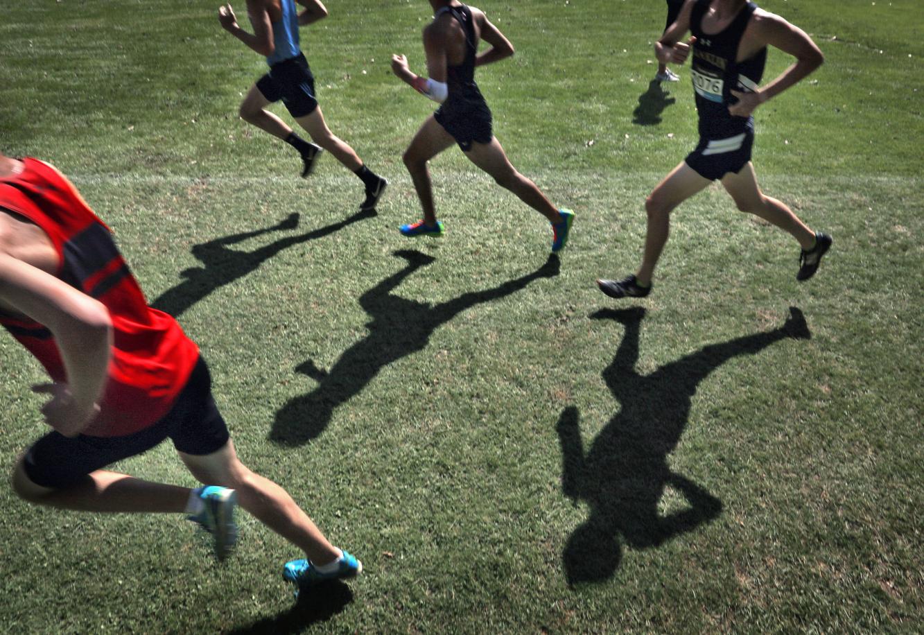 WIAA cross country Deerfield/Cambridge's Drobac, Michel qualify for