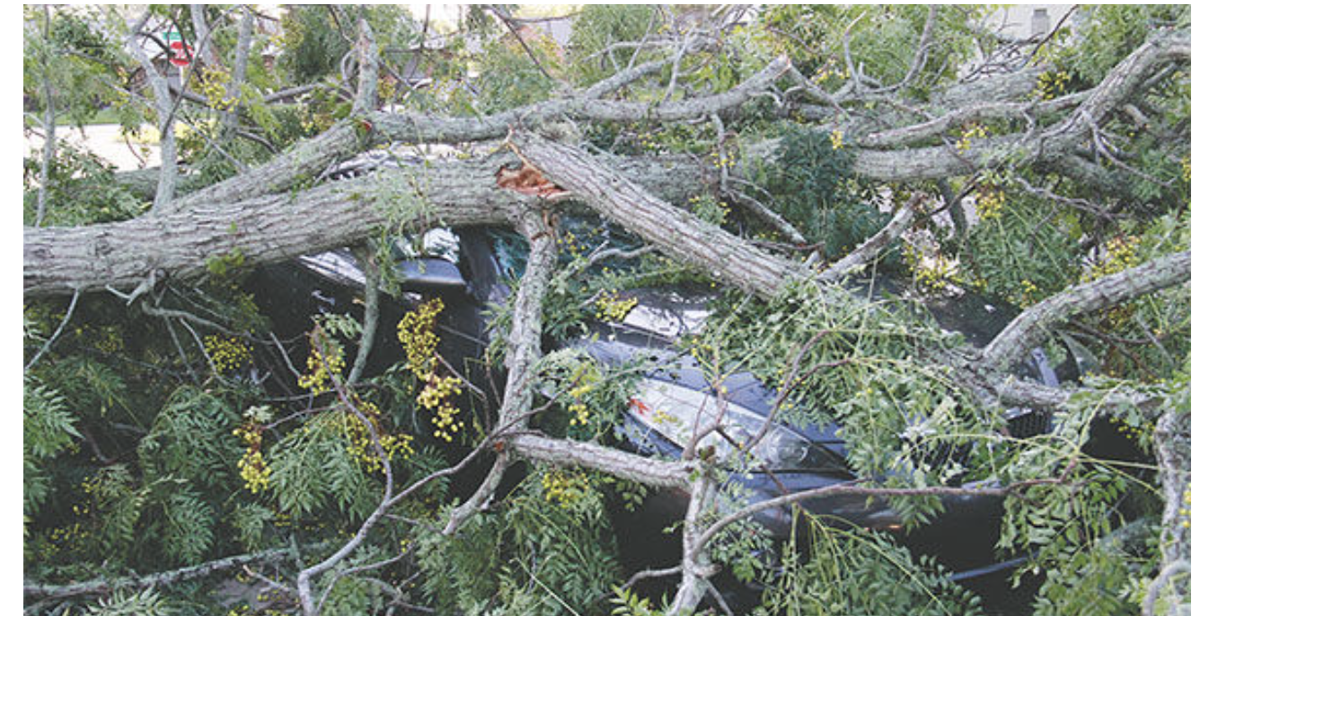 Volusia County Hurricane Expo, tire amnesty event offer practical prep for Edgewater residents