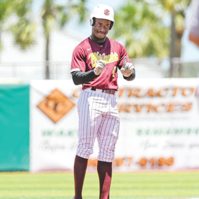 Wildcats’ baseball takes series from Rattlers