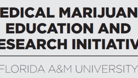 How minority entrepreneurs could break into the medical cannabis industry - Vimarsana News