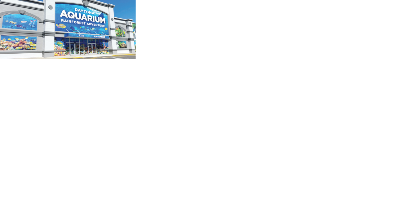 Daytona Aquarium and Rainforest Adventure now open - Vimarsana News