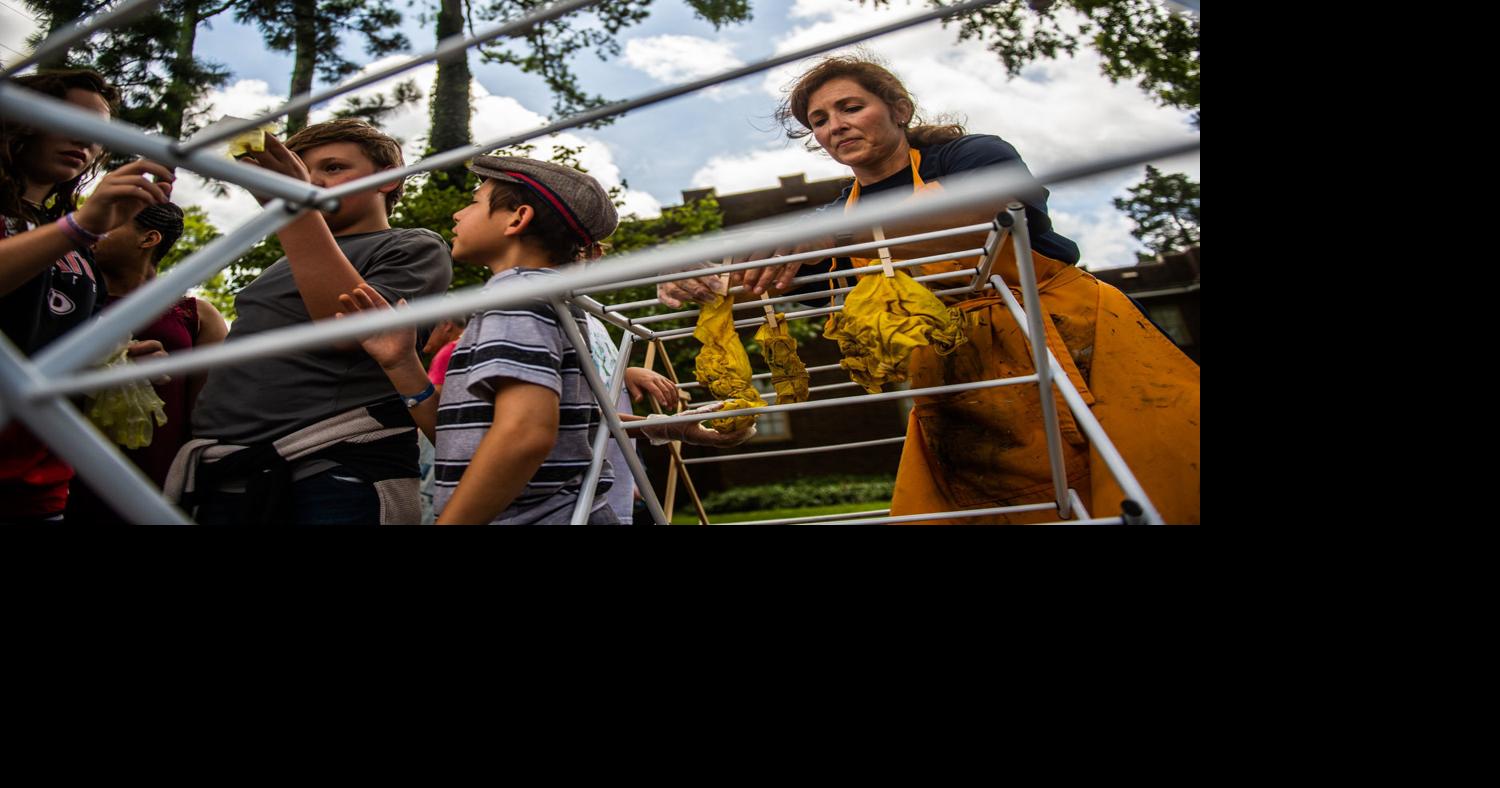 Full STEAM Ahead: Carnegie camp incorporating art, science and ...
