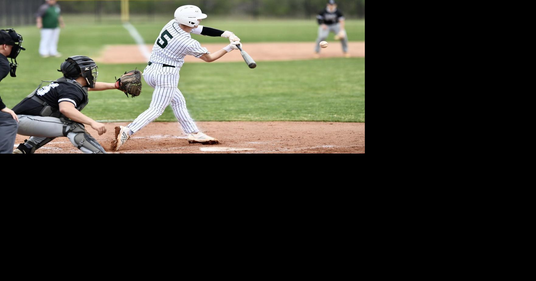 DECATUR DAILY CLASS 1A-4A ALL-AREA BASEBALL TEAM | High School ...