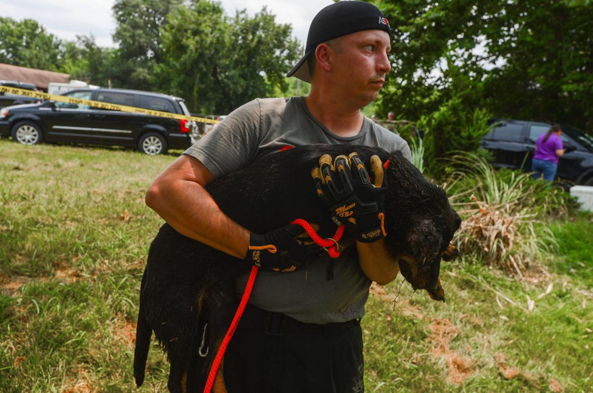 Search of animal shelter turns up dead dogs, police say Lawrence