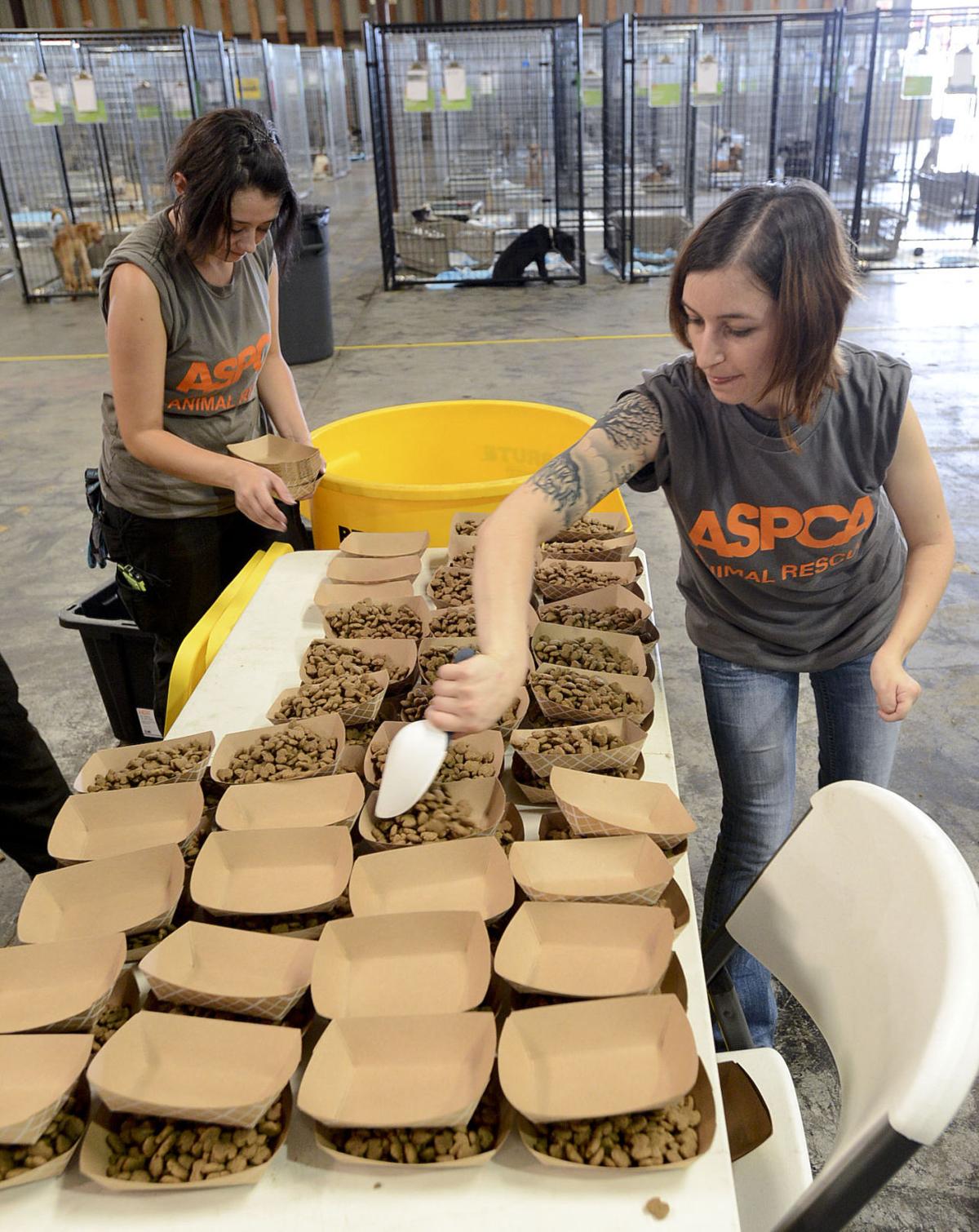 Lawrence County ASPCA Emergency Animal Shelter News