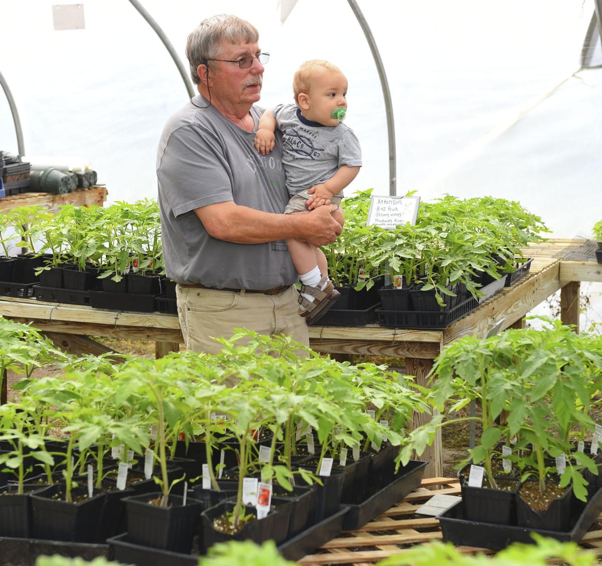 Selecting Plants for a Spring Garden Gallery