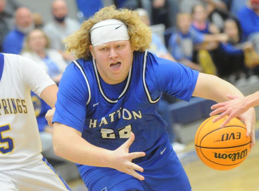 DecaturDaily.com - With late rally, Hatton soars into regional finals image