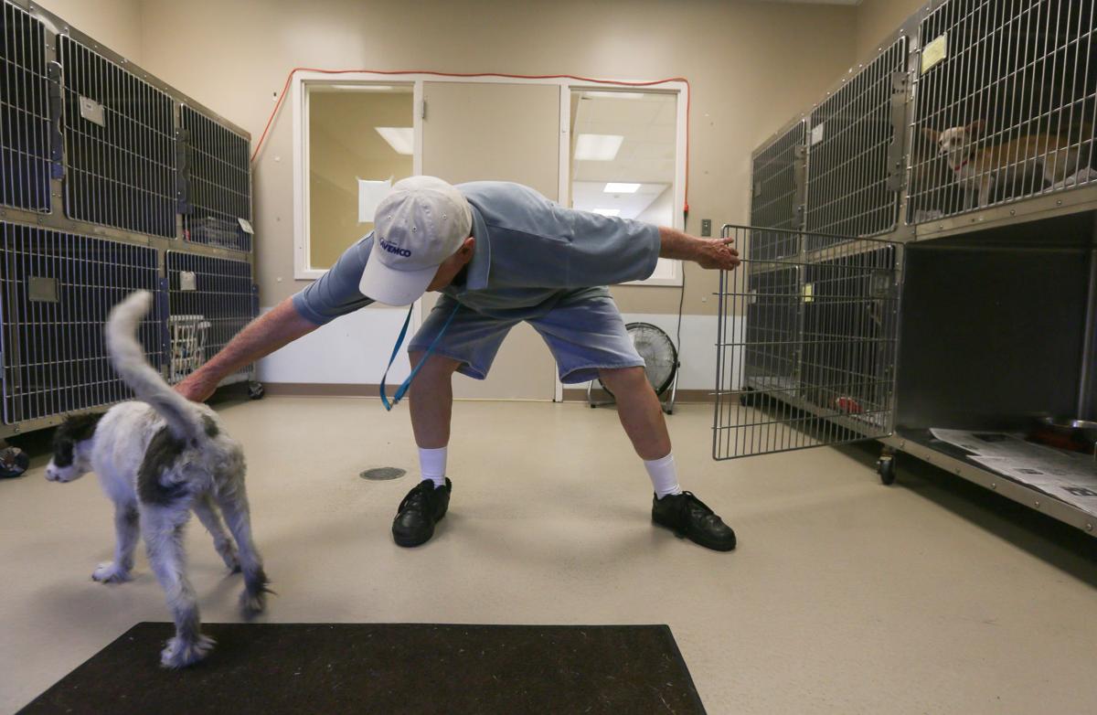 D160811 animal shelter