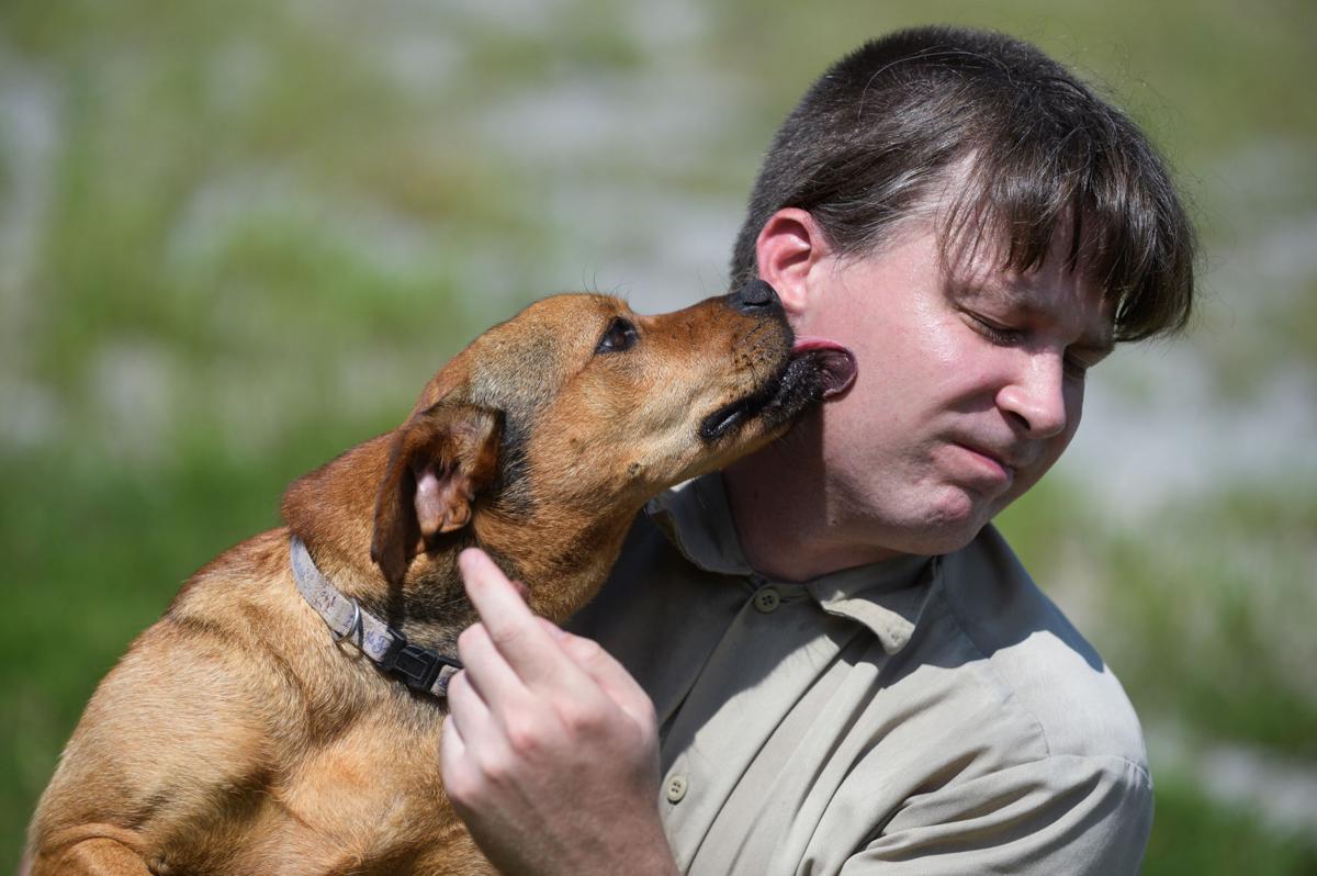 Adoptable Dogs at County Humane Society Gallery