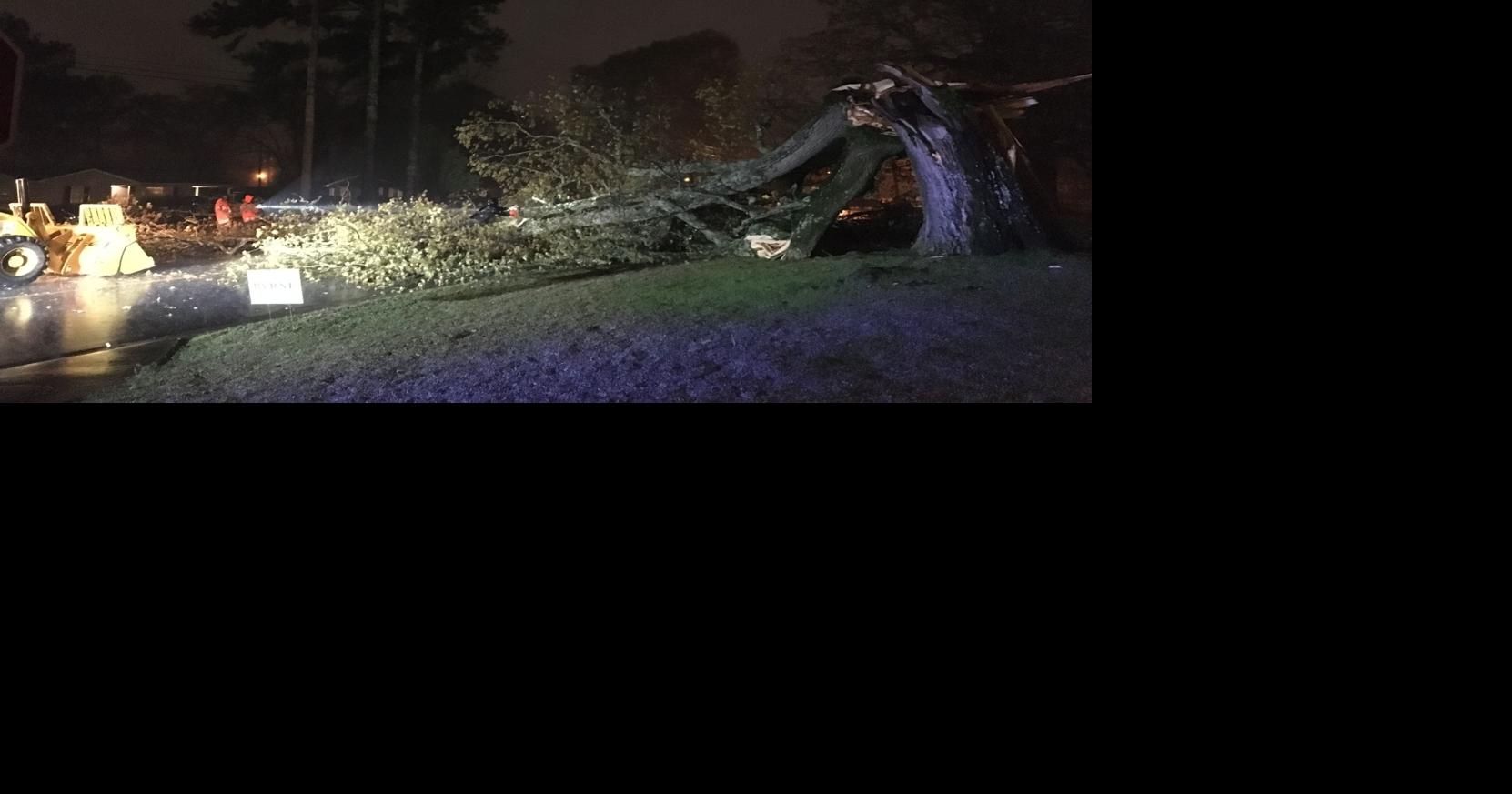 Storm causes power outages in Limestone, topples tree in Decatur