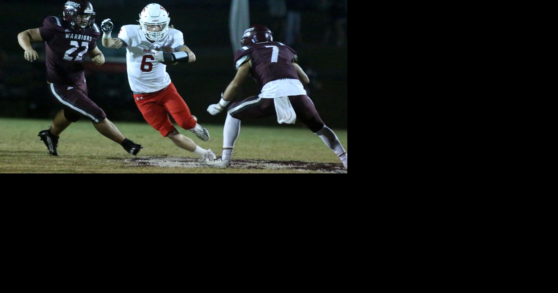 DecaturDaily.com - Lawrence County’s Drew Gatlin a leader on the field image