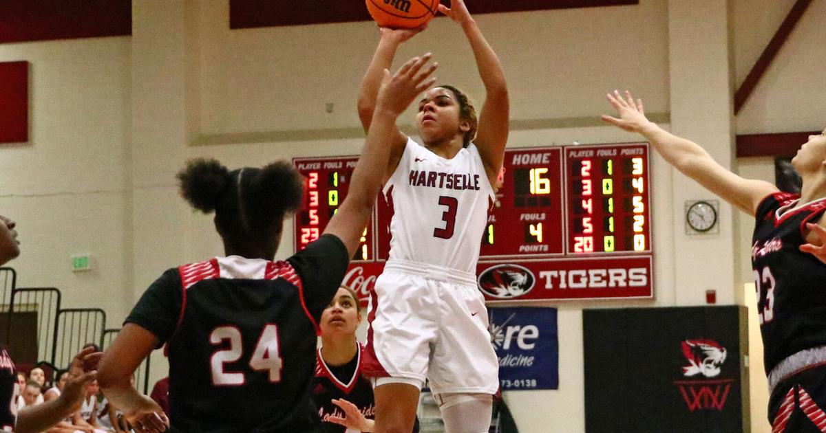 DecaturDaily.com - First step: Hartselle Tigers dust off Decatur, advance to area title game image