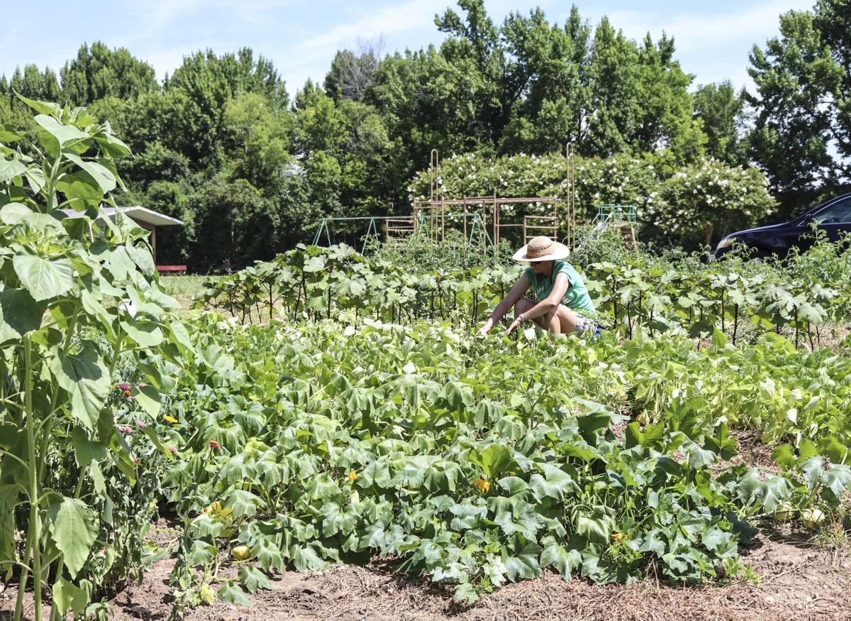 D210701 veggies