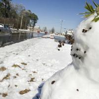 Area Snow | News | decaturdaily.com