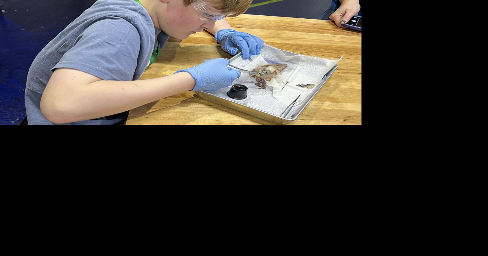 Cook Museum inspires students’ passion for science | Decatur ...