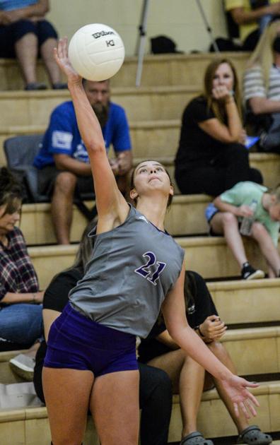 DecaturDaily.com - Volleyball roundup: Parker helps Danville notch 2 victories image