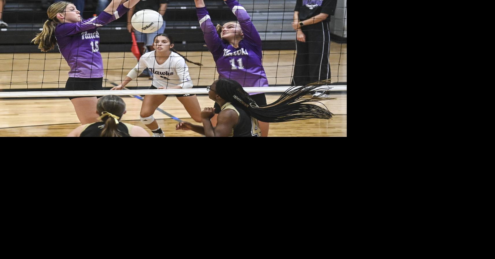 Danville takes first area win with 5-set battle
