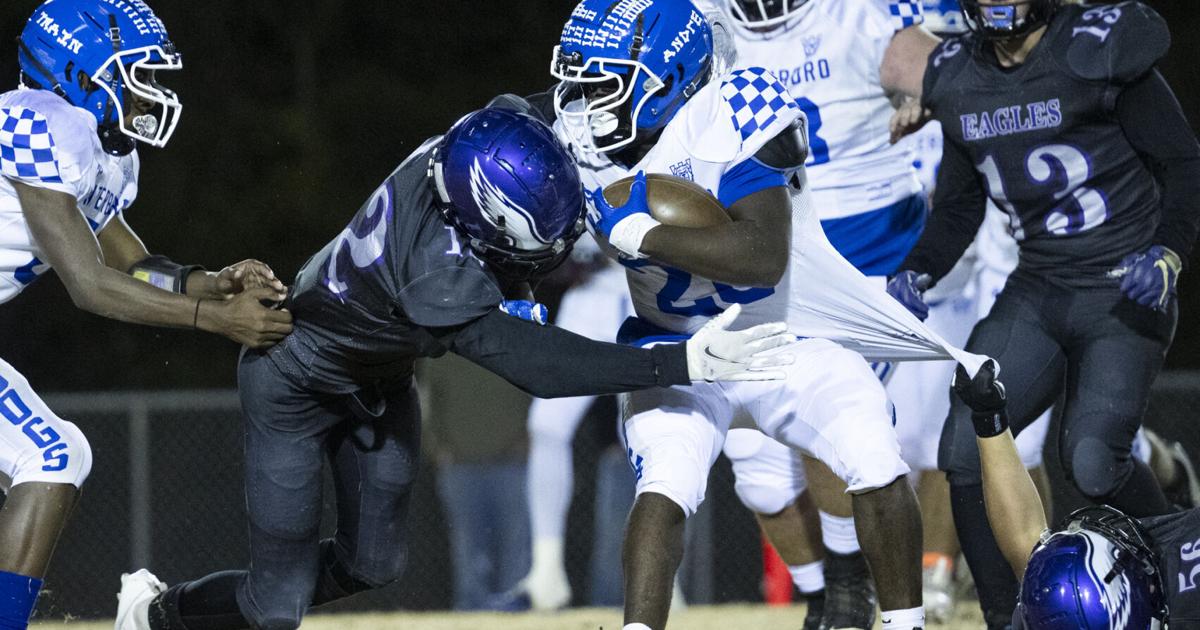 DecaturDaily.com - Decatur Heritage season ends with loss to Winterboro image