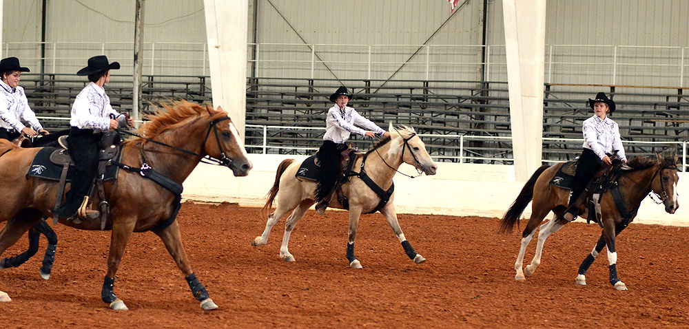 Southeast Mounted Drill Team Association National Competition | Gallery ...