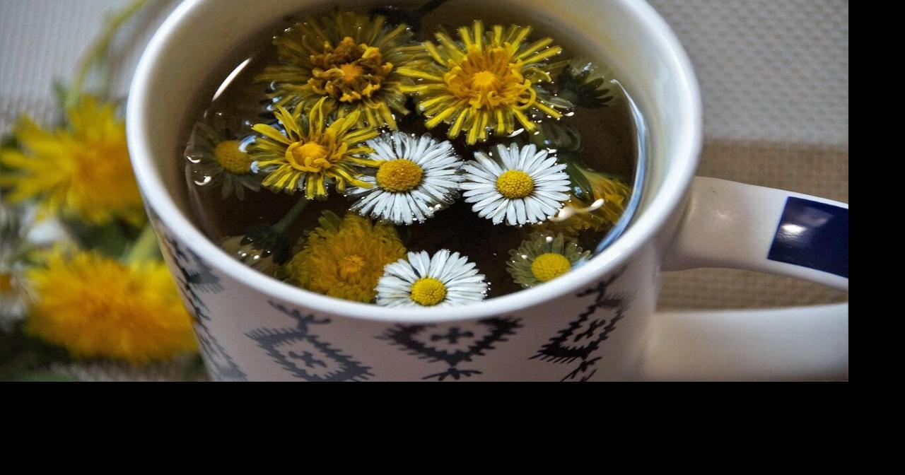 How to Use Botanical Extracts in Your Daily Routine | Sponsored Content ...