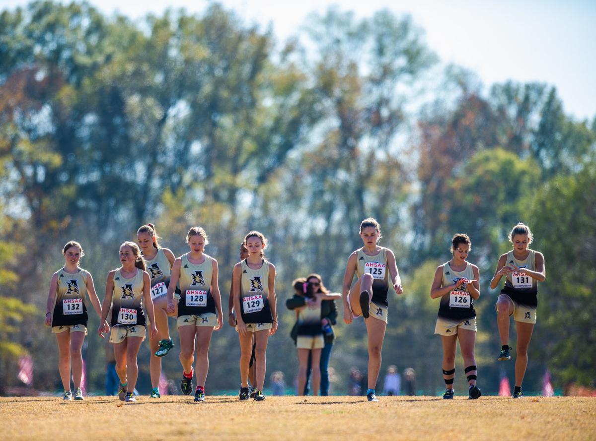 State Cross Country Meet Sports