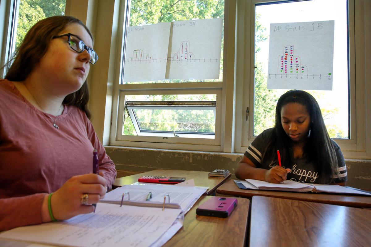 Are Advanced Placement Classes Really Worth It? Are Advanced Placement Classes Really Worth It?