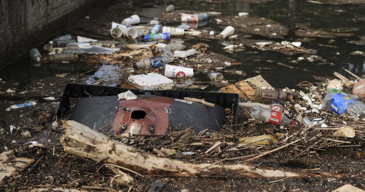 Litter Problem In Rgv Litter problems surface | Local News | decaturdaily.com