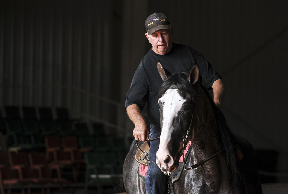 Racking Horse World Celebration News