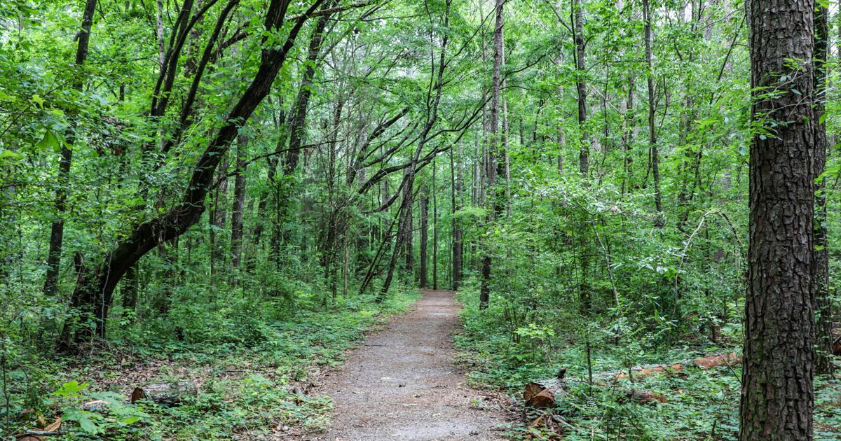 Decatur County Conservation Club $1 million allocated for trail that connects Country Club Road area to ...