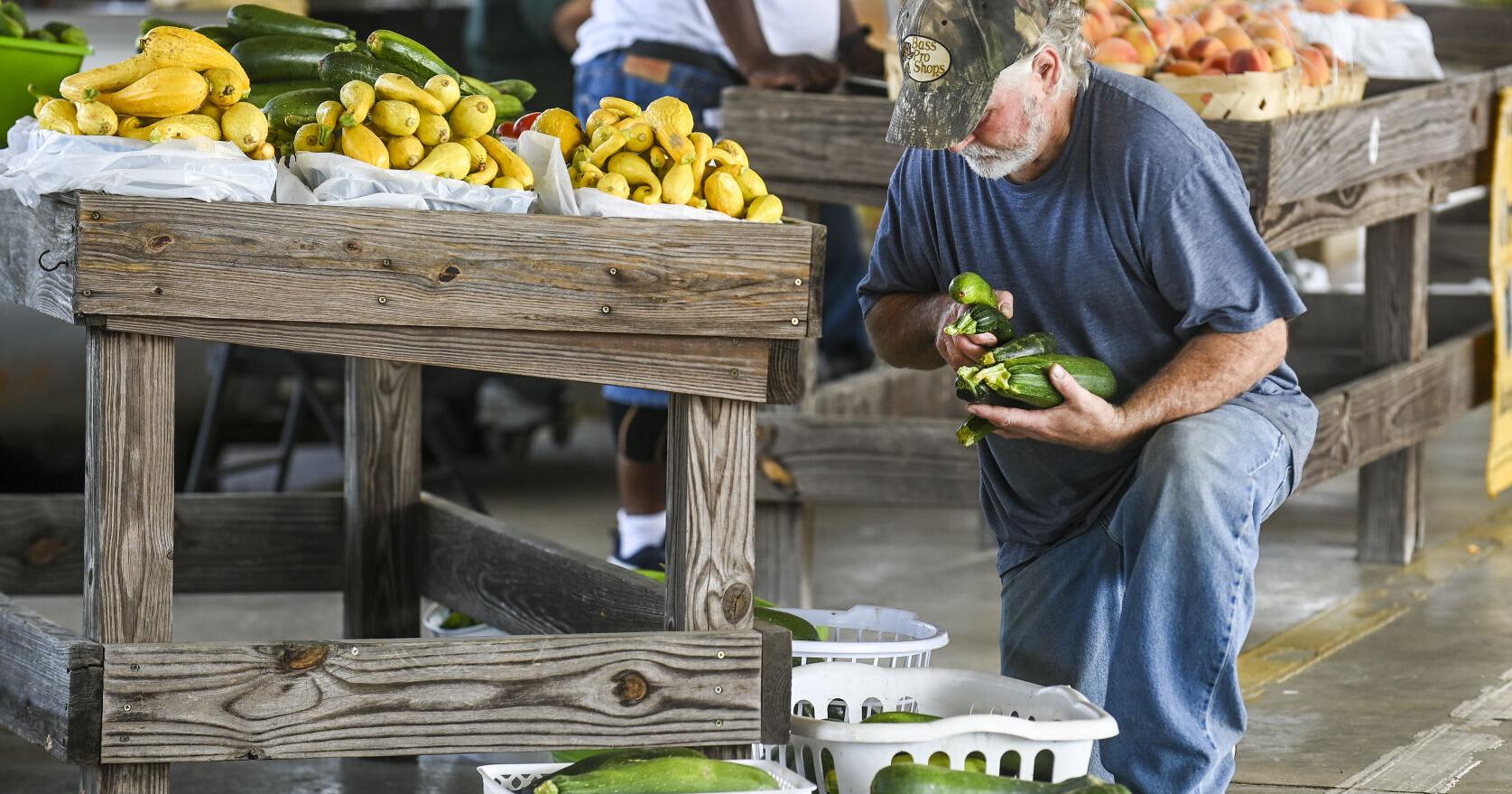 Farmers having good summer despite heat, but insects still a concern - Vimarsana News