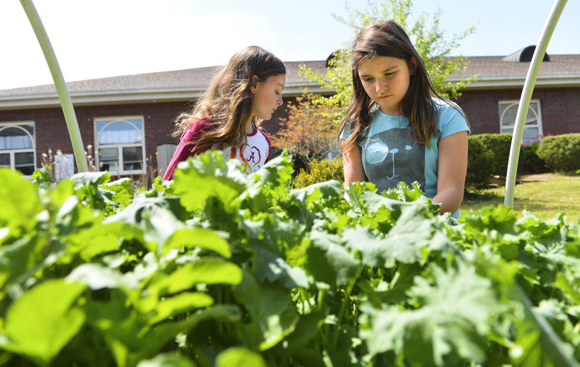 Growing lesson Priceville Elementary class builds garden, donates