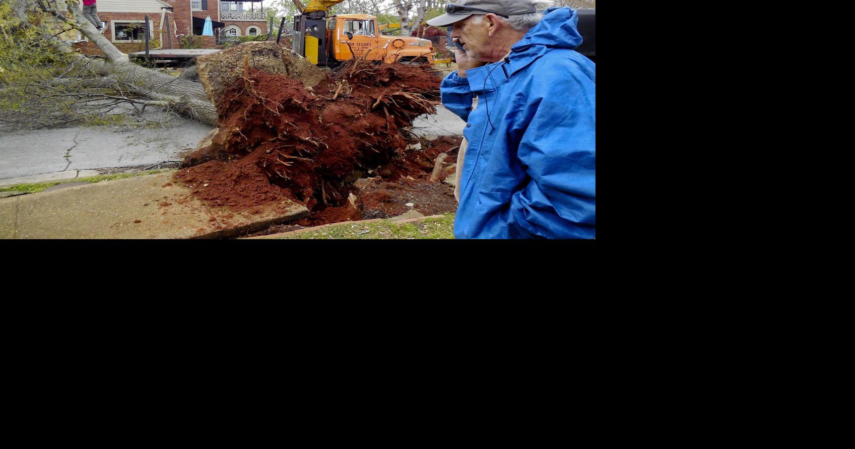 Decatur Storm Damage Northeast | Gallery | decaturdaily.com