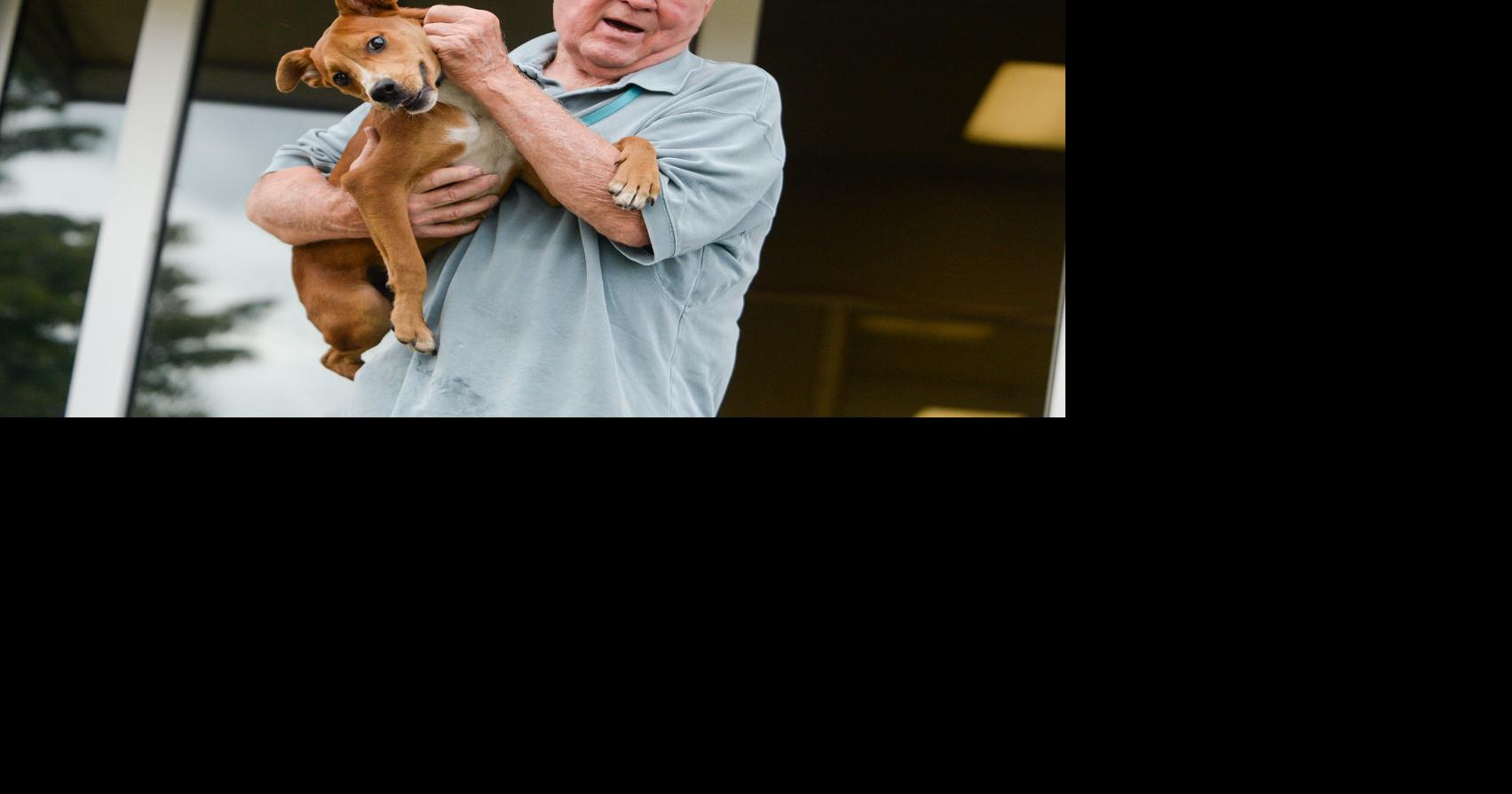 Decatur Animal Services | Gallery | decaturdaily.com
