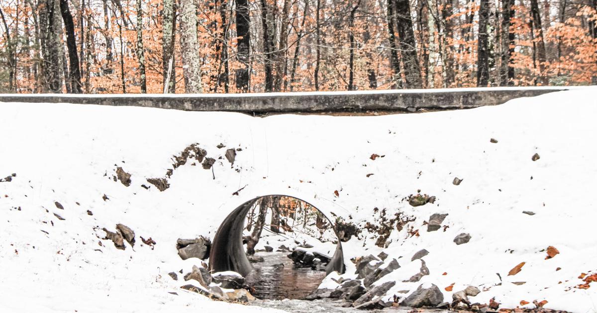 Reader submitted snow day photos | News | decaturdaily.com