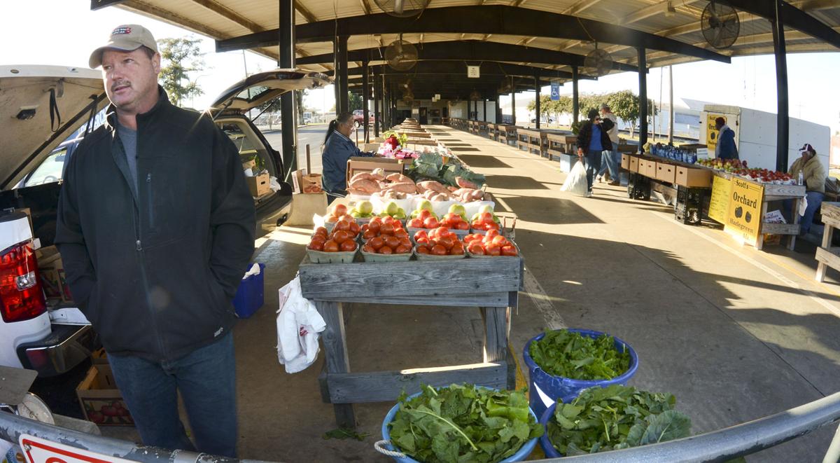 Farmers Market Gallery