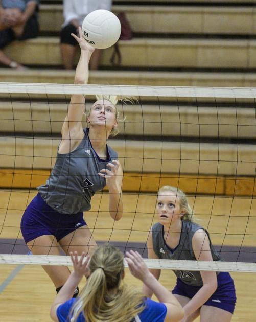 DecaturDaily.com - VOLLEYBALL: Danville vs. Colbert Heights image