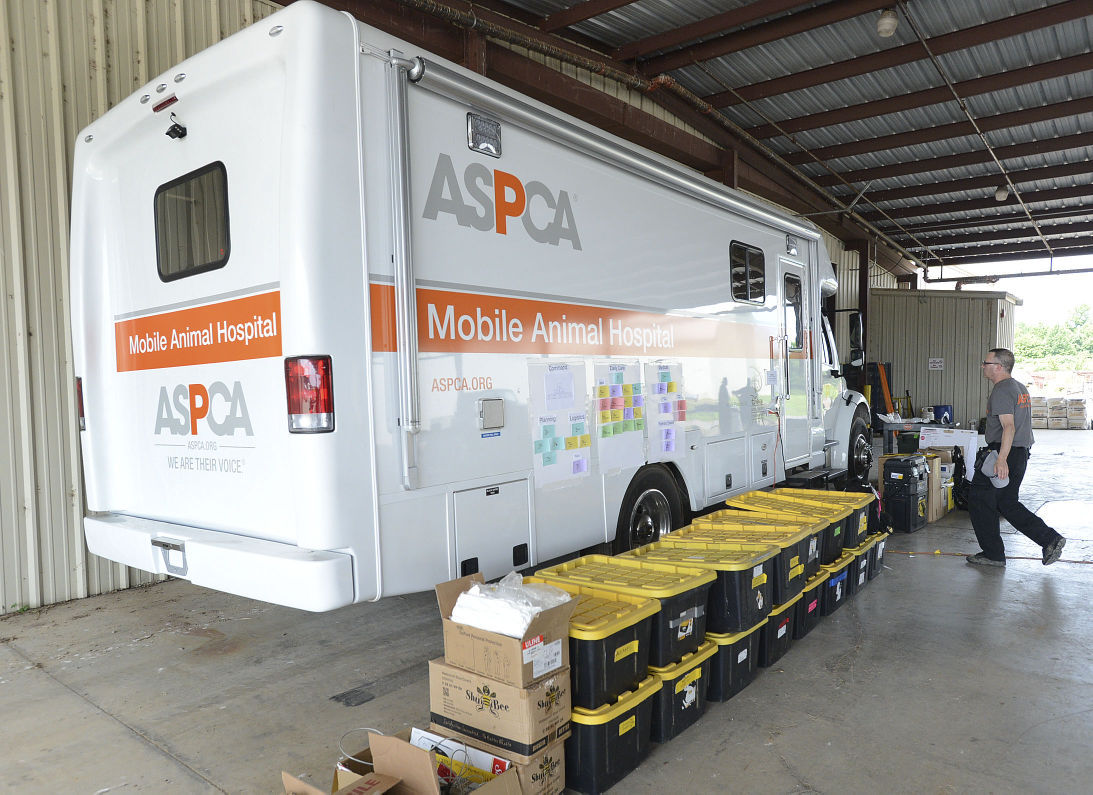Lawrence County Aspca Emergency Animal Shelter News Decaturdaily Com