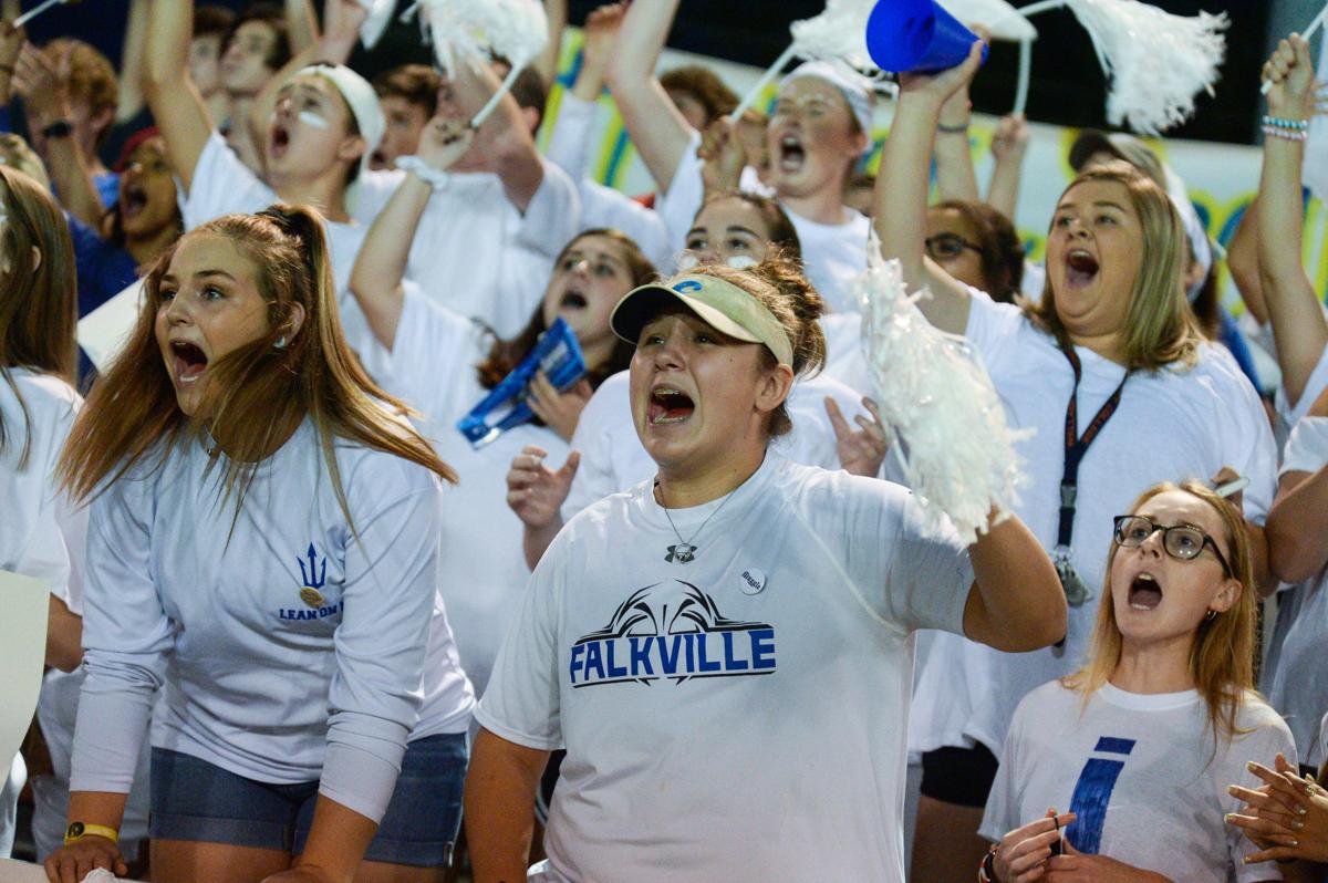 Falkville vs. Priceville Gallery