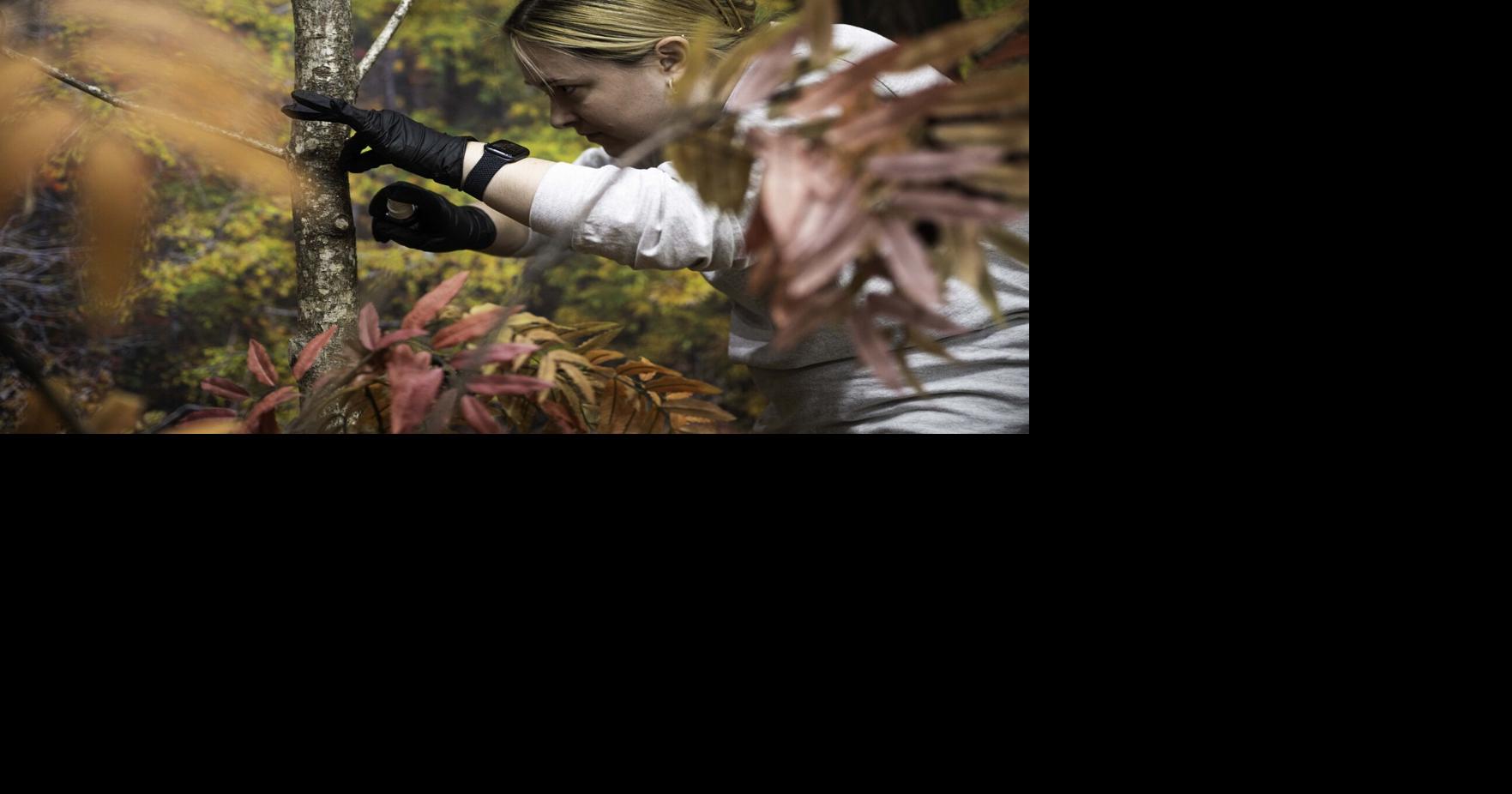 Visitors Center at wildlife refuge to open next month Decatur