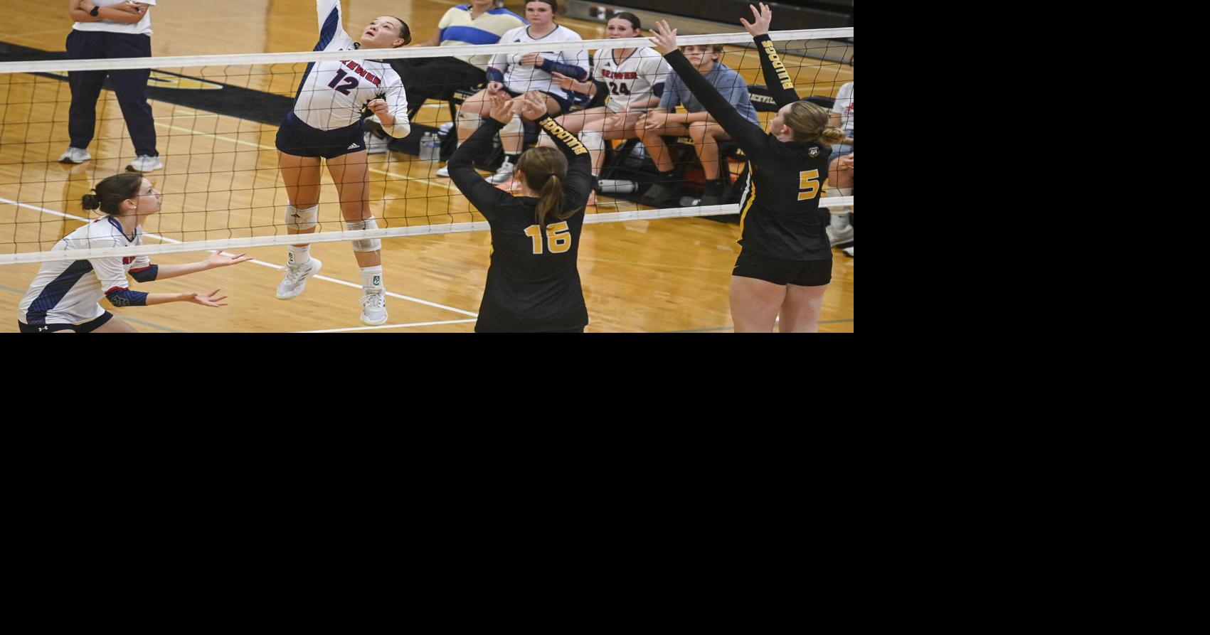 2025 Decatur Daily All-Area Volleyball Team | High School ...