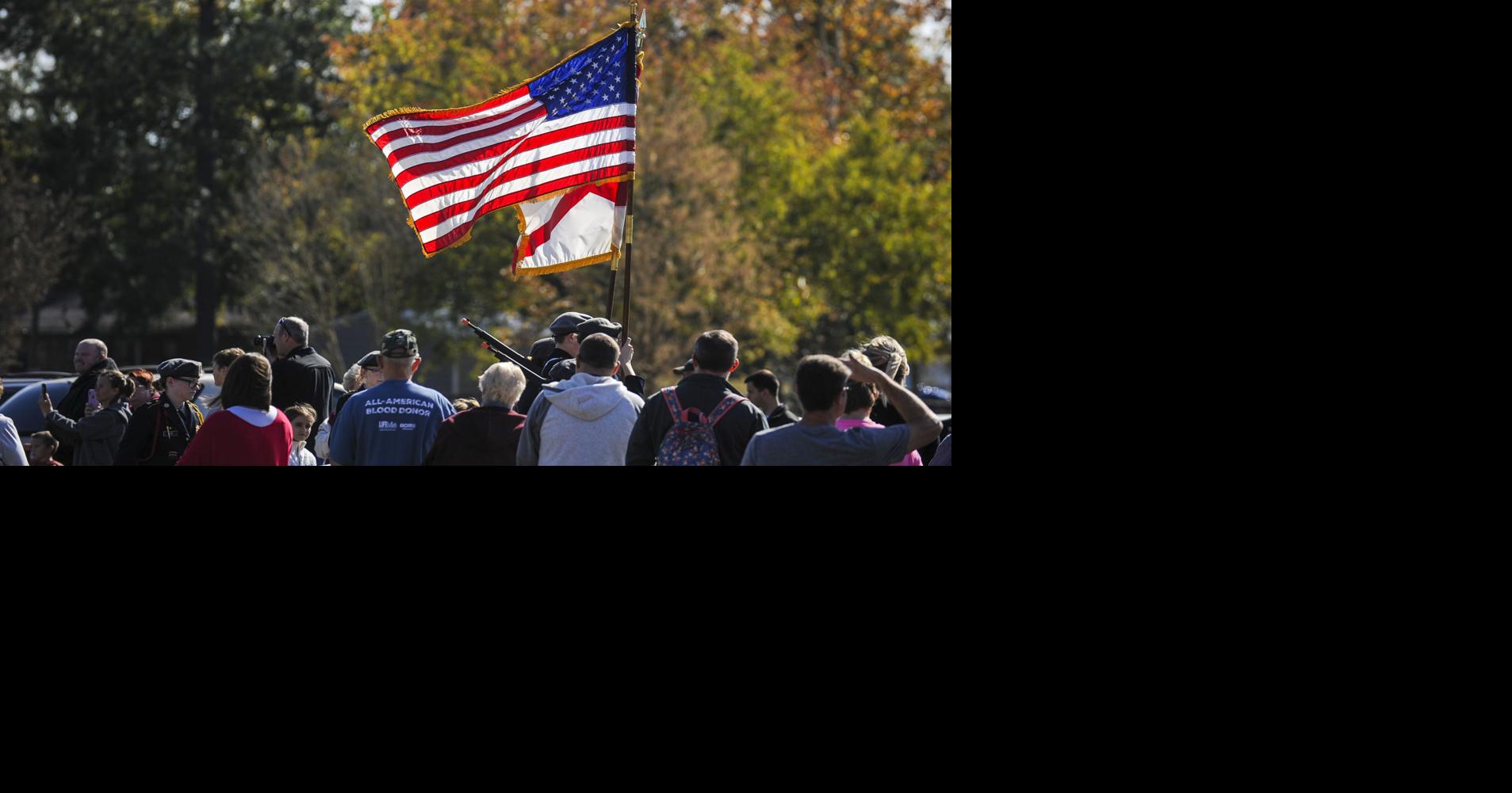 Veterans day toddler craft