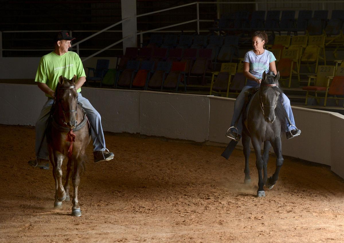43rd Annual Racking Horse World Celebration Gallery