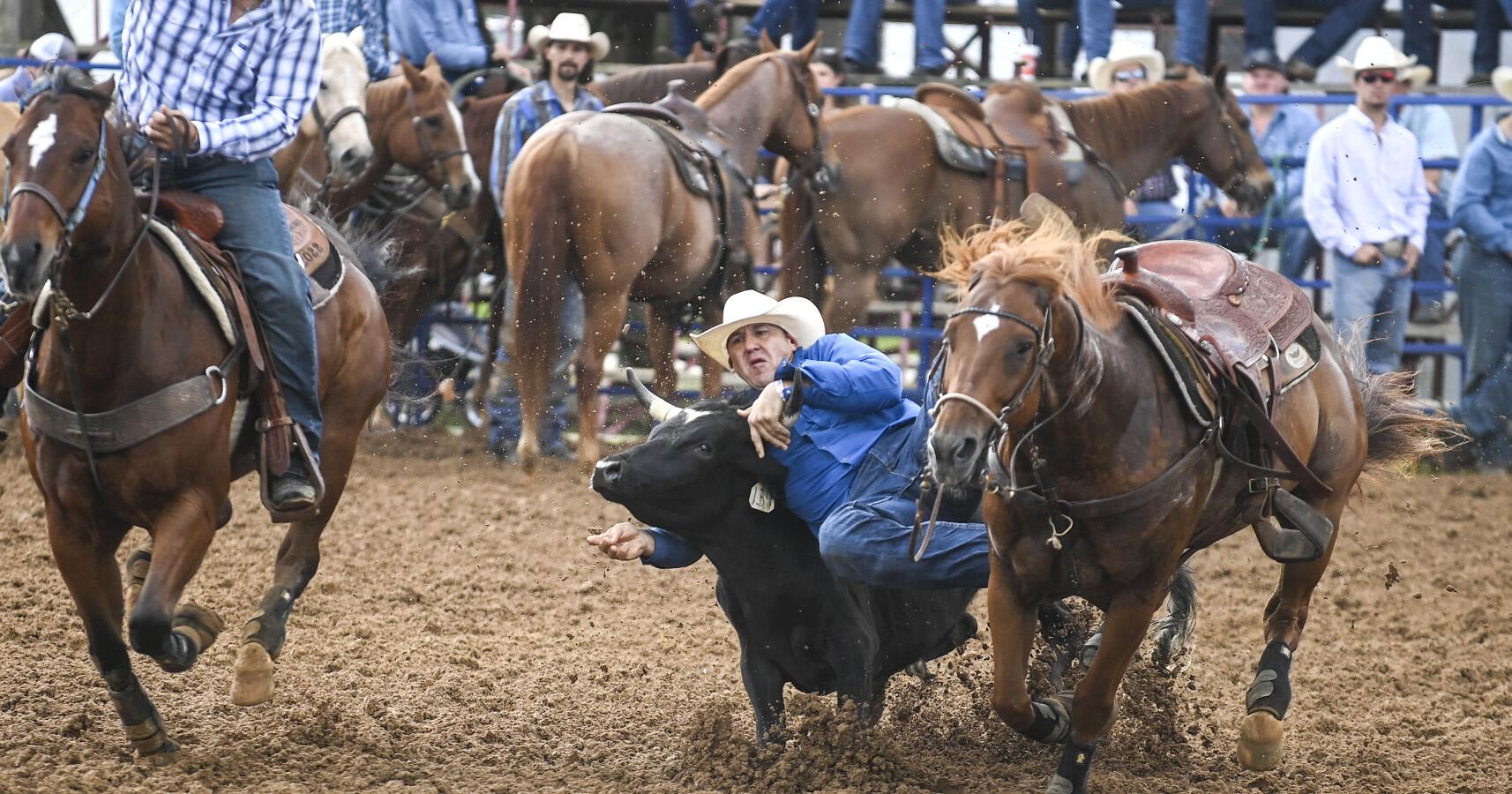 Annual Limestone Sheriff's Rodeo begins - Vimarsana News
