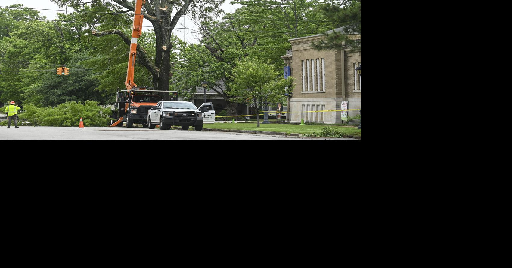 The city and Historic Decatur Association partnering in planting trees ...
