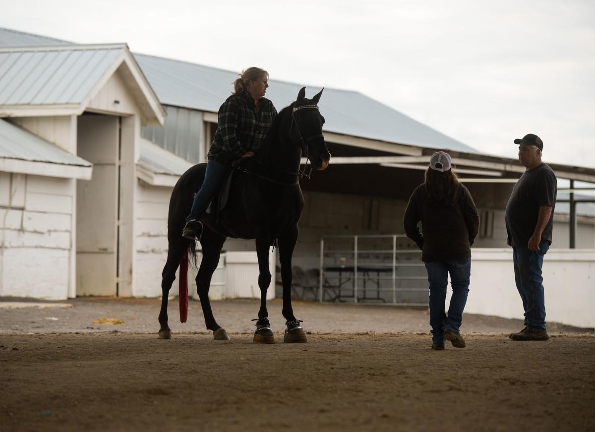 Racking Horse Spring Celebration Gallery