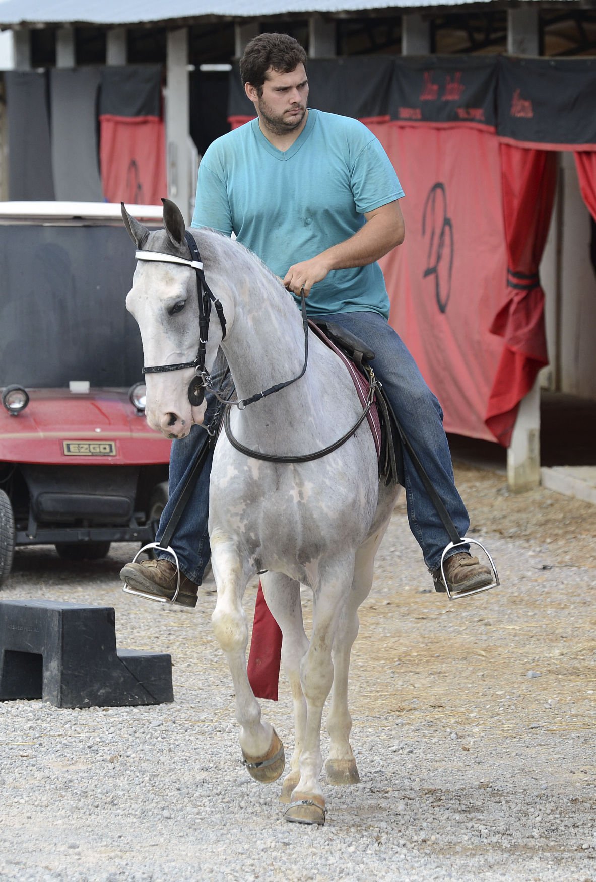 43rd Annual Racking Horse World Celebration Gallery