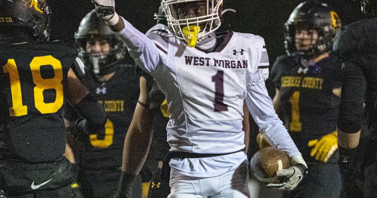 Mickey Morgan Decatur West Morgan falls in semifinals, finishes 13-1 | West Morgan ...