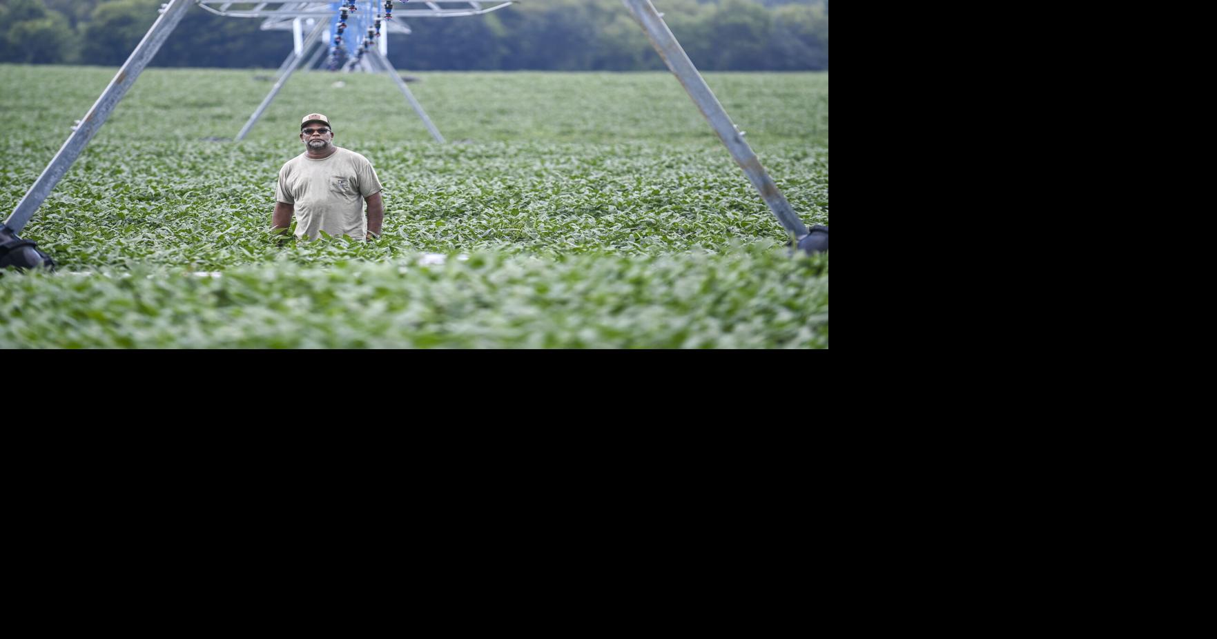 Good growing season tempered by fertilizer costs, trade uncertainty
