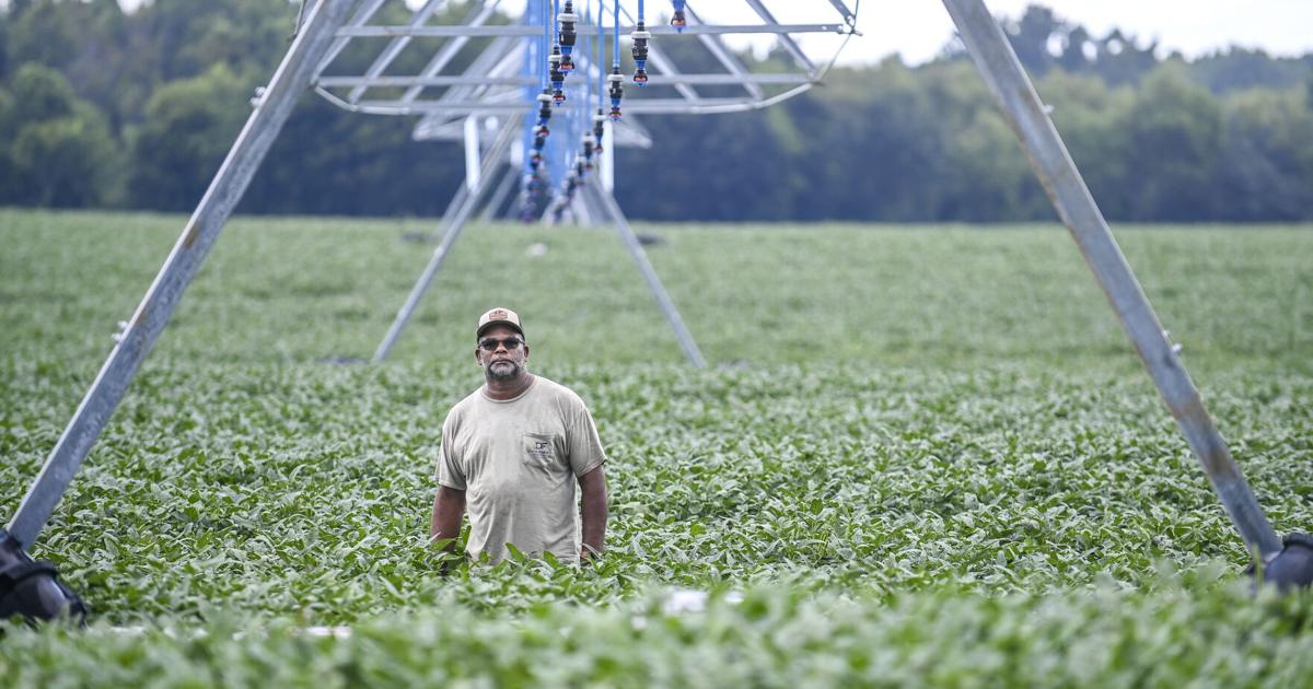 Good growing season tempered by fertilizer costs, trade uncertainty