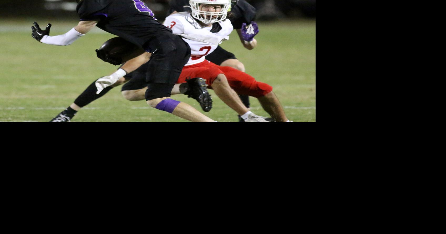 DecaturDaily.com - Lawrence County falls to Hanceville image